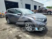 2019 Honda CR-V фото