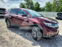 2019 Honda CR-V photo