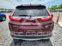 2019 Honda CR-V фото