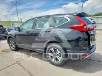 2019 Honda CR-V photo