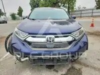 2019 Honda CR-V фото