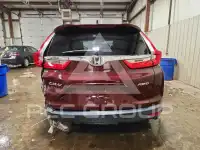 2019 Honda CR-V photo