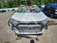 2019 Honda CR-V фото