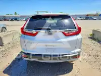 2019 Honda CR-V фото