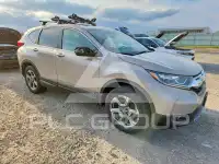 2019 Honda CR-V фото