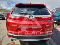 2019 Honda CR-V фото