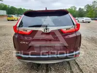 2019 Honda CR-V фото
