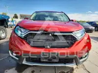 2019 Honda CR-V фото