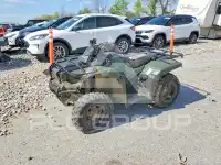 2019 Honda TRX фото