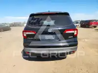 2019 Honda PILOT фото