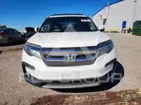 2019 Honda PILOT photo