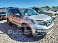 2019 Honda PILOT фото