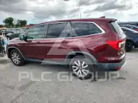 2019 Honda PILOT фото