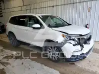 2019 Honda PILOT фото