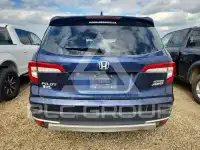 2019 Honda PILOT фото
