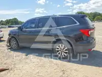 2019 Honda PILOT фото