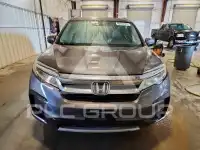 2019 Honda PILOT photo