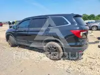 2019 Honda PILOT фото