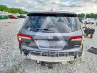 2019 Honda PILOT фото