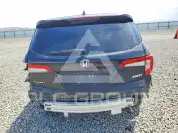 2019 Honda PILOT photo