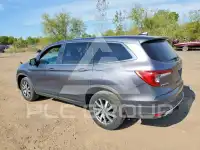 2019 Honda PILOT photo