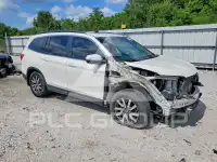 2019 Honda PILOT фото