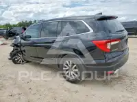 2019 Honda PILOT фото
