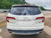 2019 Honda PILOT photo