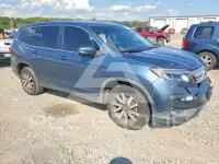 2019 Honda PILOT photo