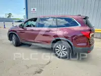 2019 Honda PILOT фото