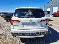2019 Honda PILOT фото