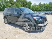 2019 Honda PILOT фото