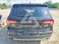 2019 Honda PILOT photo