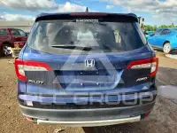 2019 Honda PILOT фото