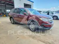 2019 Honda PILOT фото