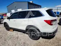 2019 Honda PILOT фото