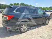2019 Honda PILOT фото