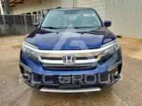 2019 Honda PILOT фото