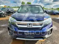2019 Honda PILOT фото