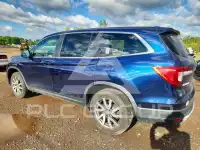 2019 Honda PILOT фото