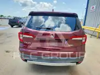 2019 Honda PILOT фото
