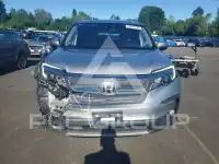 2019 Honda PILOT фото