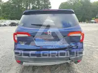 2019 Honda PILOT photo