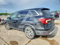 2019 Honda PILOT фото
