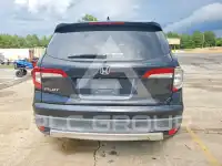 2019 Honda PILOT photo