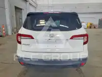 2019 Honda PILOT фото