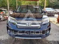 2019 Honda PILOT photo