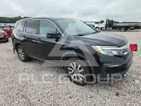 2019 Honda PILOT фото