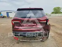 2019 Honda PILOT фото