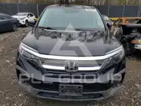 2019 Honda PILOT фото